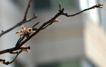 照片 063_