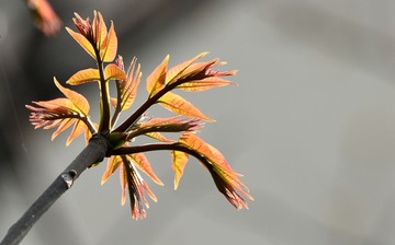 照片 062_
