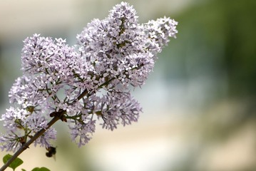 照片 283_