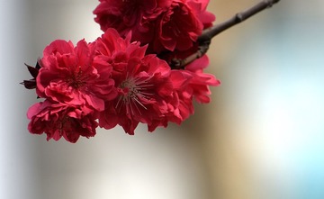照片 088_