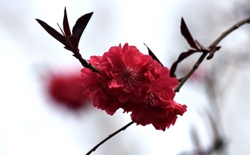 照片 110_