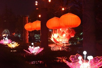 照片 348_