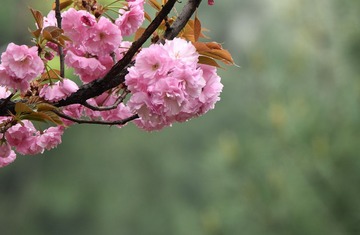 照片 040_