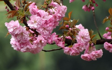 照片 048_