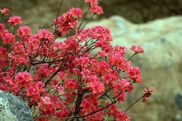 照片 354_