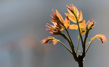 照片 032_