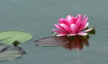 照片 165_