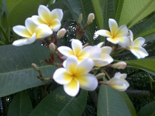 201206171388