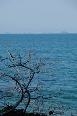 A7BFA37E-3F1B-4763-A445-1E5B814CD560/L0/001