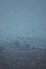 309368