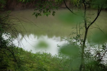 360288