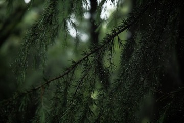 360170