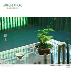 IMG_3721置景6.jpg
