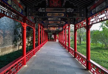 07-组图《广富林野郊公园》作者：邹建军2019年4月拍摄于上海广富林野郊公园。手机：13166050609