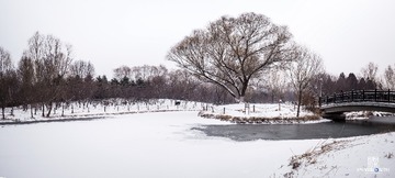 _DSC3776-Pano1