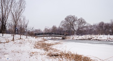_DSC3767-Pano1