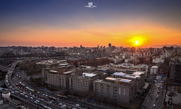 _DSC41211