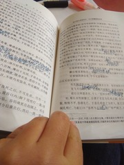 31040