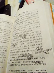 31051