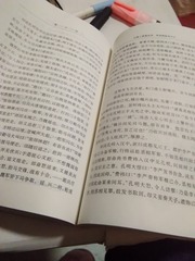 31028