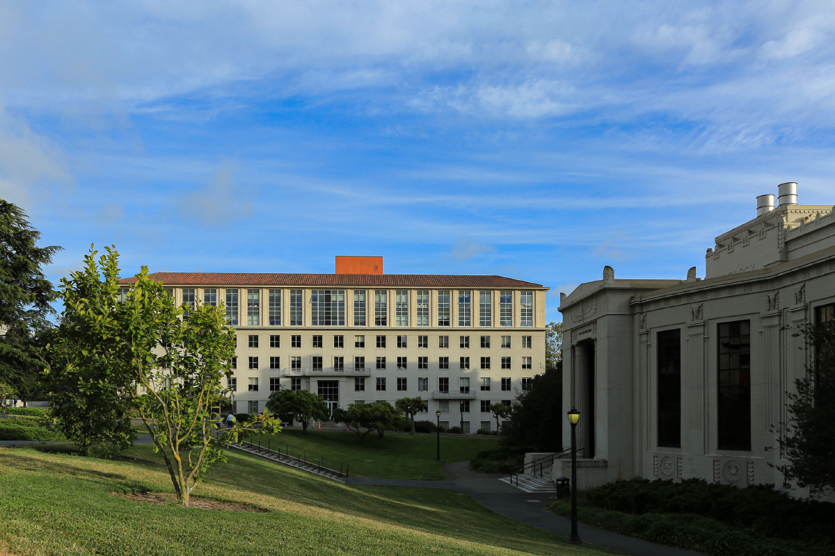 伯克利校园一角