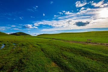 全景1 (7)