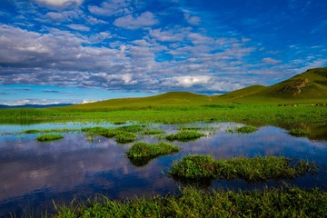 全景3 (1)