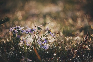 20180901061949_IMG_1357_mix01