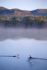 20180831063353_IMG_0599_mix01