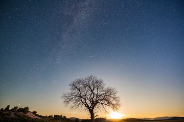 IMG_1210全景 (3)