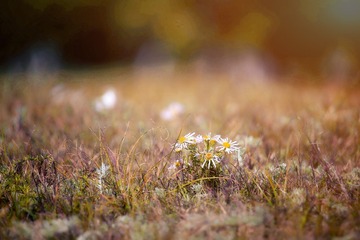 20180831095554_IMG_0771_mix01