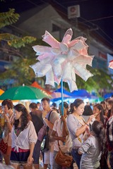 8702980_DSC6313