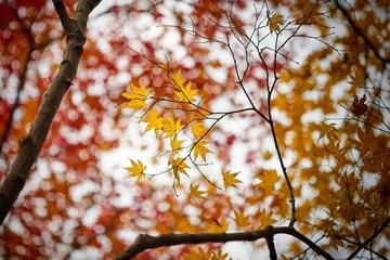 NIKON-D810_DSC7696