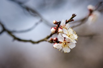 NIKON-D810_DSC9003