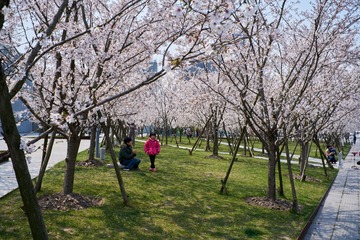 ILCE-7RM2_DSC1128