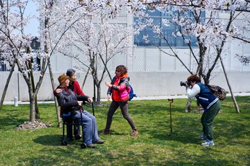 ILCE-7RM2_DSC1144