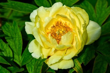 NIKON-D810_DSC9898