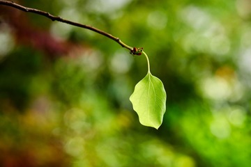 NIKON-D810_DSC9914