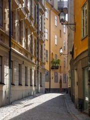 P5082512