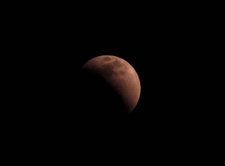 DSC_02541.jpg