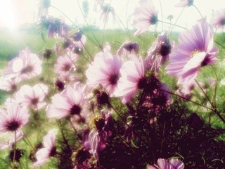 20101016164.jpg