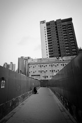 DSC_7066.jpg