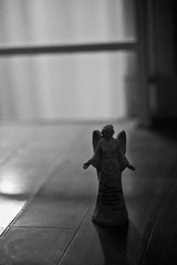 IMG_2354.jpg