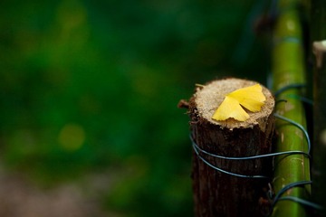 IMG_0496.jpg