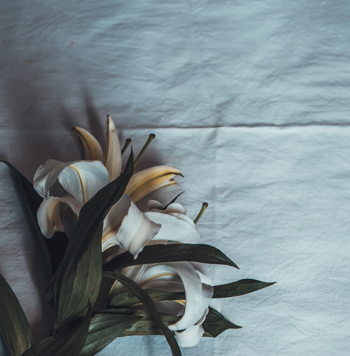 我有所念人 隔在远远乡