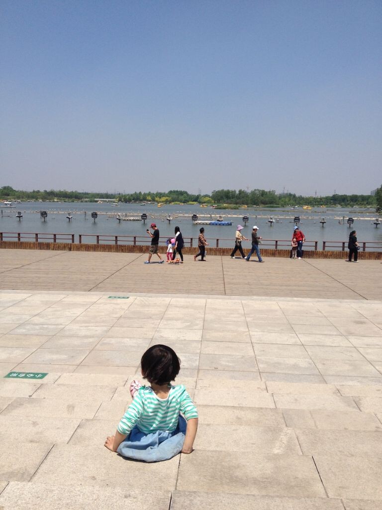 2015年6月，南海子公园。