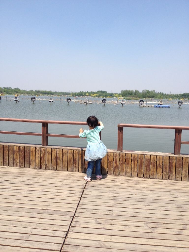 2015年6月，南海子公园。