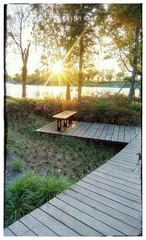 IMG_20160420_064250-02-02