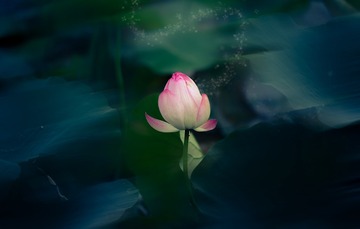 维水涟涟，我心思倦。