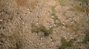 “DJI_0468”